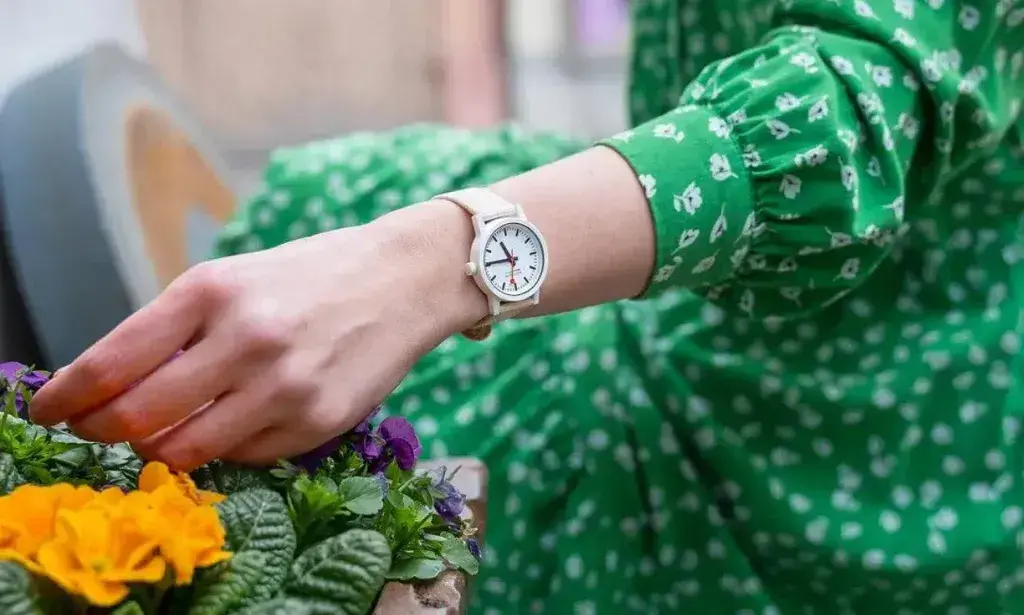 Eco-Friendly Watches: Investing in Sustainability
