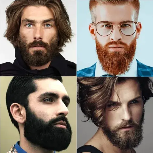 Trimmed Beard beard styles for men