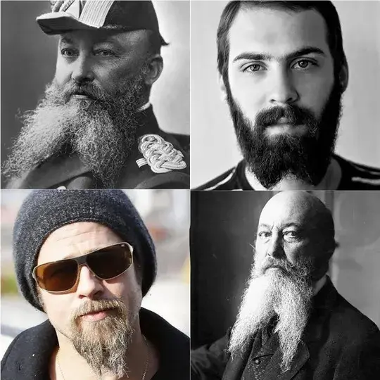 French Fork beard styles for men