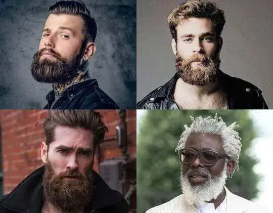Garibaldi Beard short beard styles