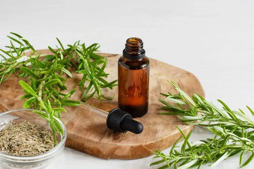 Why Rosemary Oil Is Good For Hair Growth
