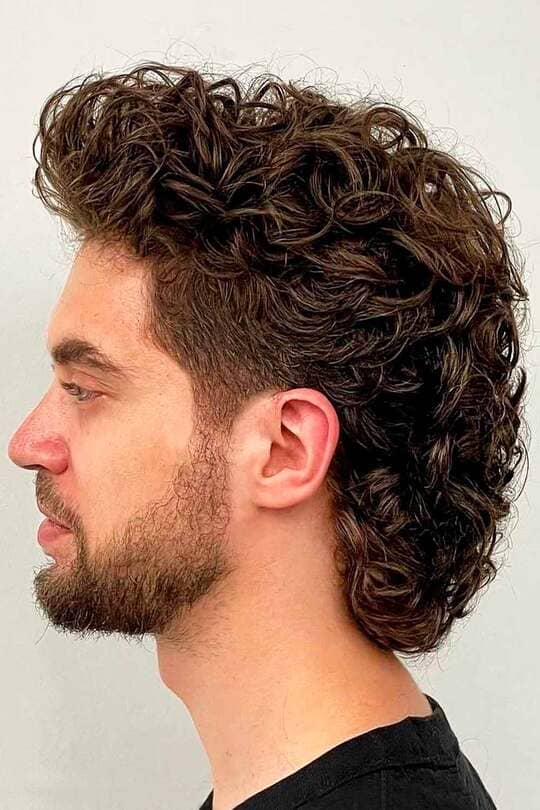 Stylish Mullet Hairstyle Ideas For Men