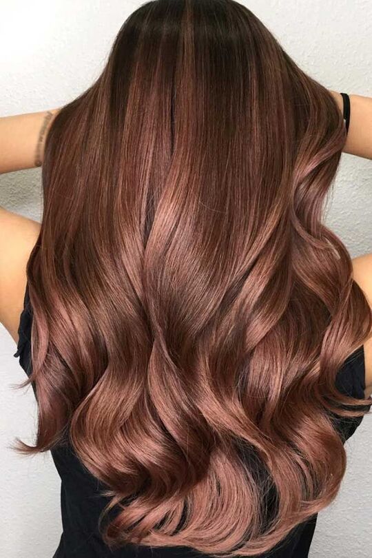 Chestnut Color hair