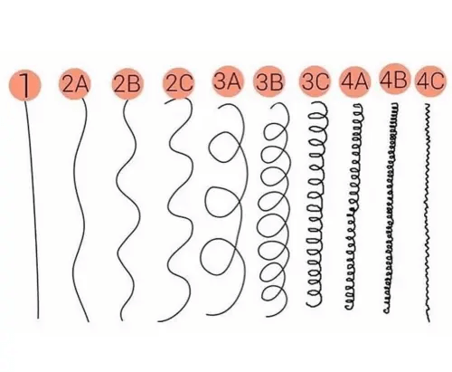 Different Types of Waves and Curls