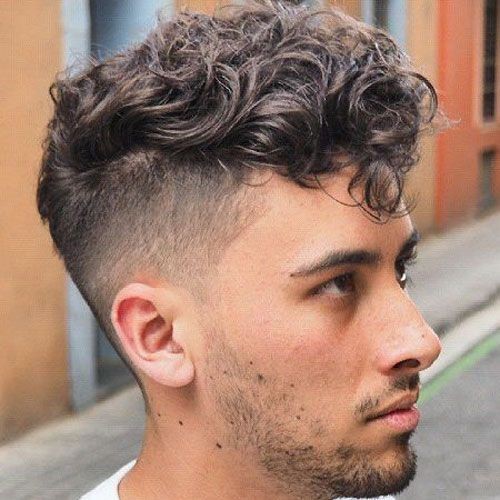 Curly Pompadour